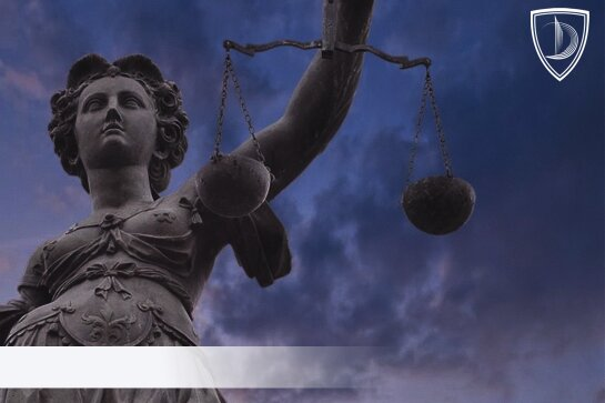 The litigation (Regarding IT dispute resolution)