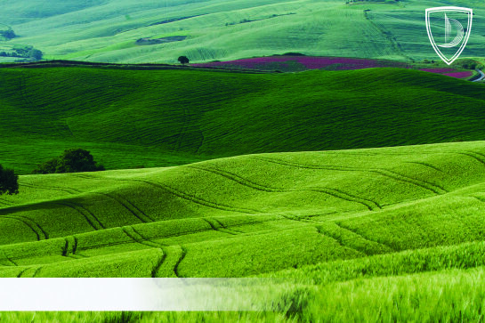 The increase of the normative monetary value of the lands in Dnipro city